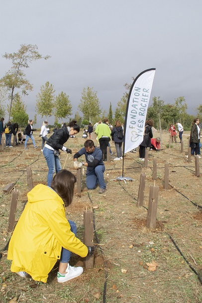 Plantacion octubre 2019 007