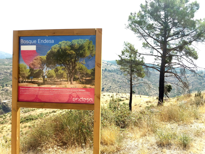 endesa 5