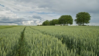 El cambio clim&aacute;tico podr&iacute;a provocar p&eacute;rdidas de