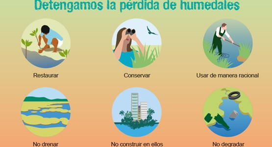 Celebramos el d&iacute;a mundial de los humedales 