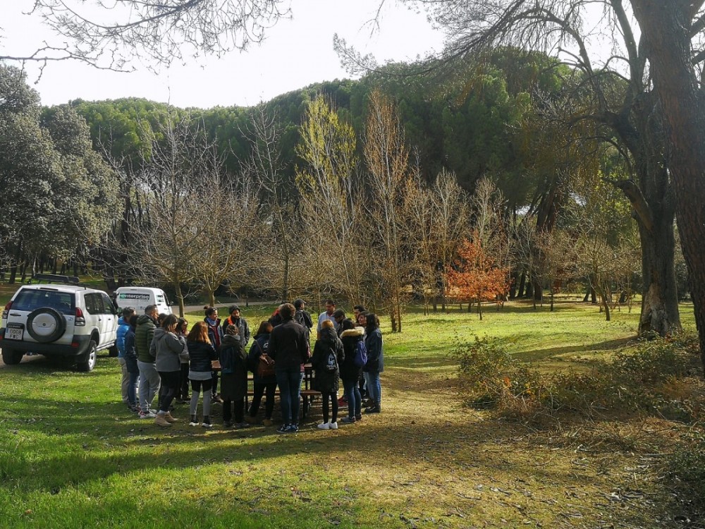 &iexcl;Nos vamos de voluntariado! Reforestar para conci