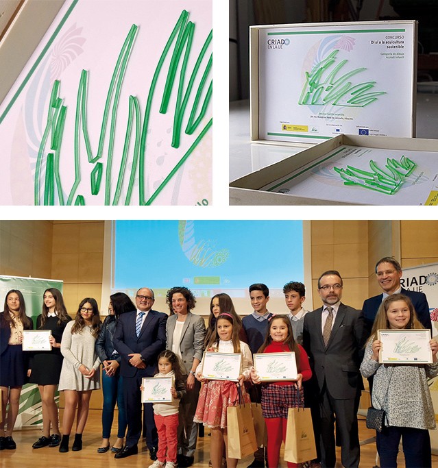 diplomas upcycling para la Fundaci&oacute;n Biodiversida