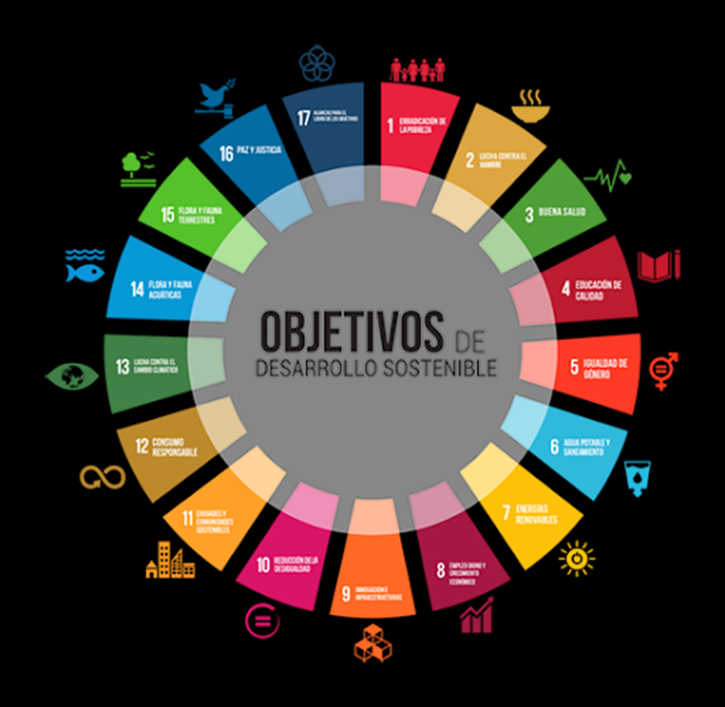 Gu&iacute;a de sostenibilidad de Cooperativa Virgen de l