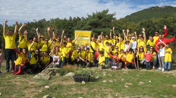 Empleados de DHL plantan 350 &aacute;rboles en Madrid pa