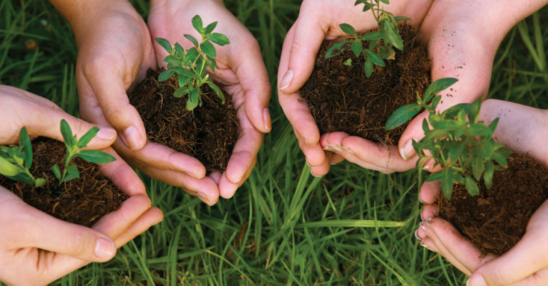 Compromiso Medioambiental, EKOSCAN