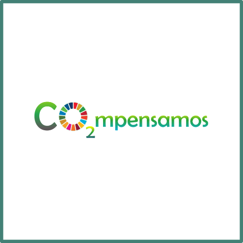 CO2mpensamos, la forma m&aacute;s justa de compensar tu 