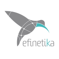 Efinétika
