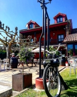 Viejo Roble
